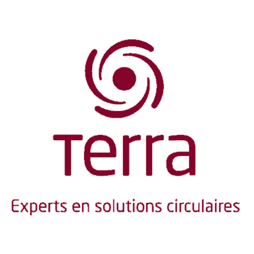 Terra - Mobile developer (2020)